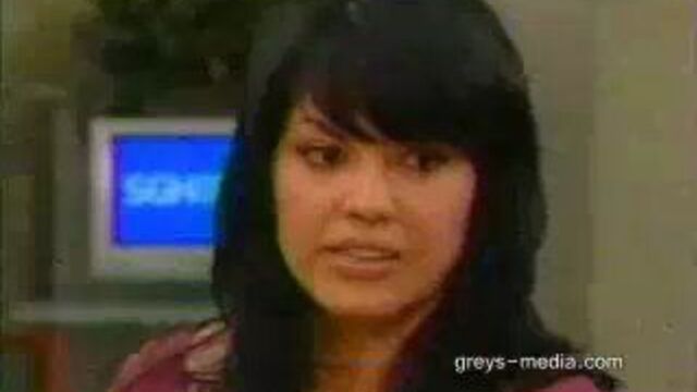 Sara Ramirez, Chandra Wilson, Kate Walsh in OPRA