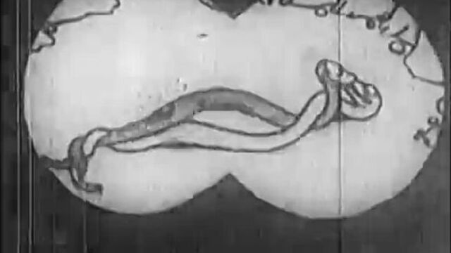 Первый порно мультик 1925 год