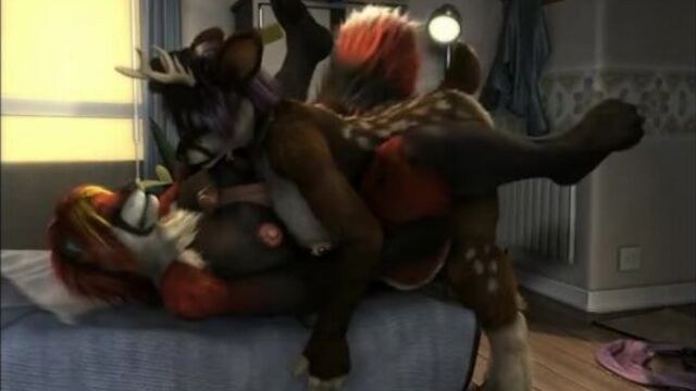 yiff 29