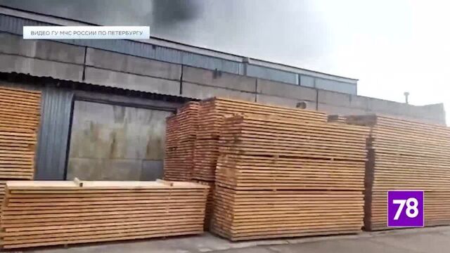 Пожар в Металлострое (1)