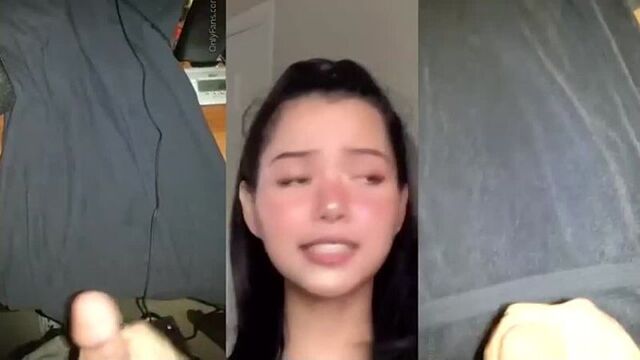 babecock 17