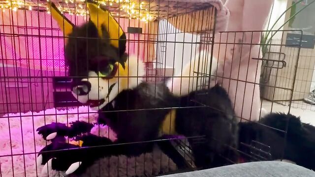 Furry cat woman enjoys hard sex and masturbation